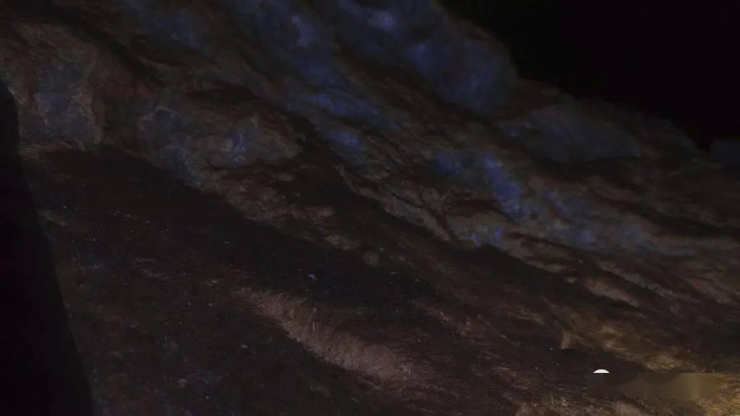 千余种年货商品将齐聚河湟里